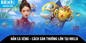 ban-ca-xeng