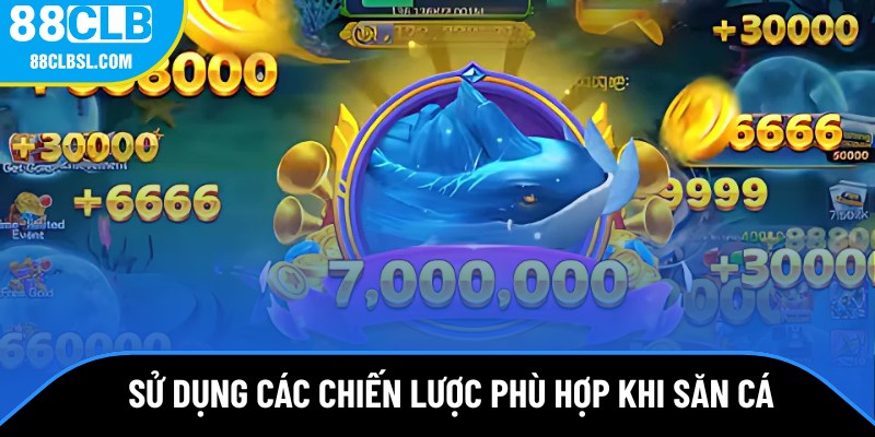 Sử dụng các chiến lược phù hợp khi săn cá
