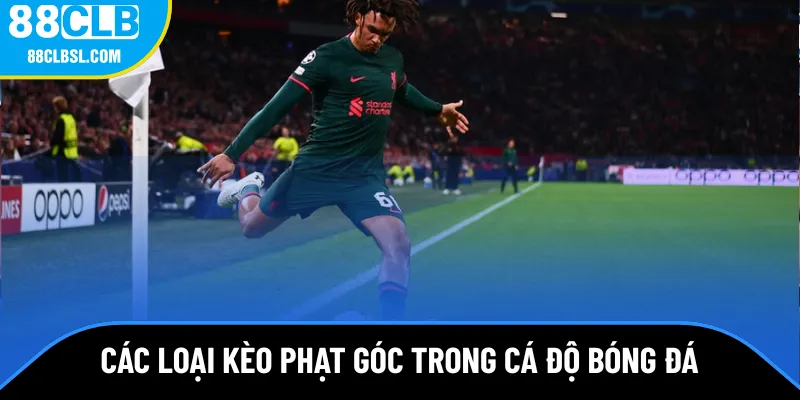 Các loại kèo phạt góc trong cá độ bóng đá