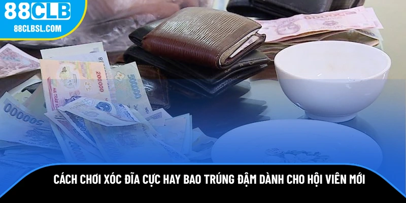 cach-choi-xoc-dia-cuc-hay-bao-trung-dam-danh-cho-hoi-vien-moi