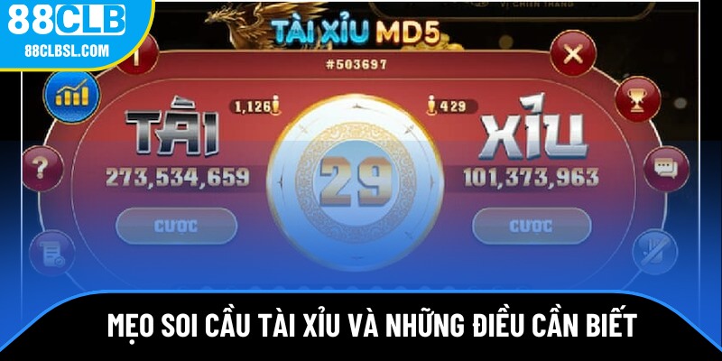 Điều cần biết khi dùng mẹo soi cầu tài xỉu