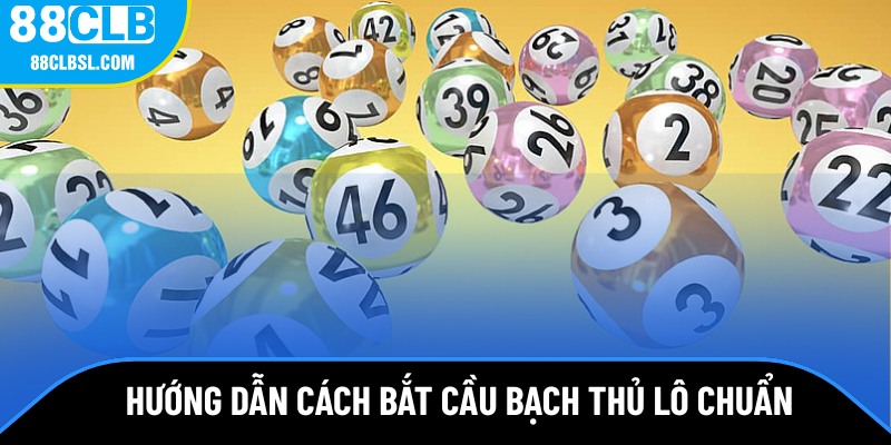 Thủ thuật soi cầu bạch thủ